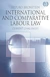 International and comparative labour law current challenges