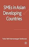 SMEs in Asian Developing Countries