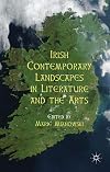 Irish contemporary landscapes in literature and the arts