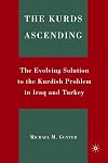 The Kurds Ascending: The Evolving Solution to the Kurdish Problem in Iraq and Turkey