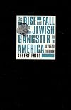 The Rise and Fall of the Jewish Gangster in America