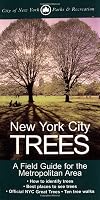 New York City Trees