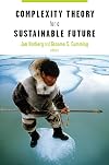 Complexity Theory for a Sustainable Future
