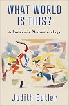 What World Is This?: A Pandemic Phenomenology