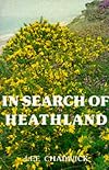 In search of heathland