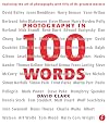 Photography in 100 Words: Exploring the Art of Photography with Fifty of its Greatest Masters