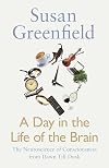 A Day in the Life of the Brain: The Neuroscience of Consciousness from Dawn Till Dusk