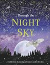 Through the Night Sky: A collection of amazing adventures under the stars (Snap Facts)