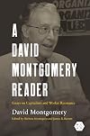 A David Montgomery Reader: Essays on Capitalism and Worker Resistance (Working Class in American History)