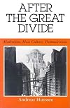 After the Great Divide: Modernism, Mass Culture, Postmodernism