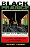 Black France: Colonialism, Immigration, and Transnationalism (African Expressive Cultures)