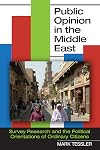 Public Opinion in the Middle East: Survey Research and the Political Orientations of Ordinary Citizens (Indiana Series in Middle East Studies)