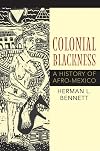 Colonial Blackness: A History of Afro-Mexico
