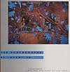 Photography of Invention: American Pictures of the 1980s