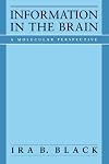 Information in the Brain