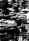 Perspecta 46: Error