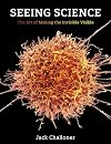 Seeing Science: The Art of Making the Invisible Visible