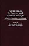 Privatization in Central and Eastern Europe: Perspectives and Approaches (Post-Communist Cultural Studies (Hardcover))