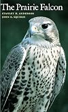 The Prairie Falcon