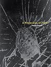 A Procession of Them (William and Bettye Nowlin Series in Art, History, and Culture)