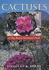 Cactuses of Big Bend National Park