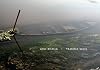 Yamuna Walk