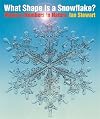 What Shape is a Snowflake?