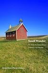 Small Wonder: The Little Red Schoolhouse in History and Memory