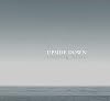 Upside Down: Arctic Realities