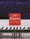 Life's Blueprint: The Science and Art of Embryo Creation