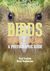 Birds of New Zealand: A Photographic Guide