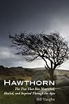 Hawthorn: The Tree That Has Nourished, Healed, and Inspired Through the Ages