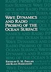 Wave dynamics and radio probing of the ocean surface