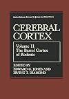 The barrel cortex of rodents
