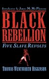 Black Rebellion: Five Slave Revolts