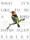 What It's Like to Be a Bird: From Flying to Nesting, Eating to Singing, What Birds Are Doing and Why