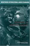 Monitoring International Labor Standards: Summary of Domestic Forums