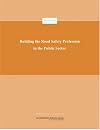 Building the Road Safety Profession in the Public Sector