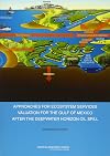 Approaches for ecosystem services valuation for the Gulf of Mexico after the Deepwater Horizon oil spill interim report