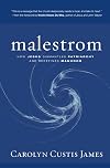 Malestrom: How Jesus Dismantles Patriarchy and Redefines Manhood
