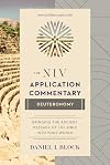 The NIV Application Commentary Deuteronomy