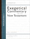1 Corinthians (Zondervan Exegetical Commentary on the New Testament)