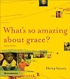 What's So Amazing About Grace? Visual Edition