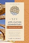 The NIV Application Commentary The Letters of John