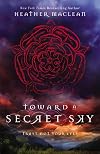 Toward a Secret Sky
