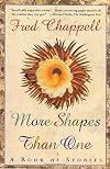 More Shapes Than One: A Book of Stories