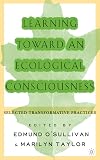 Expanding the Boundaries of Transformative Learning: Essays on Theory and Praxis