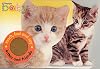 Happy Baby: Kitten And Friends