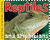 Reptiles and Amphibians (Smart Kids)