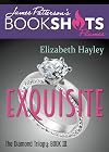 Exquisite [novella]